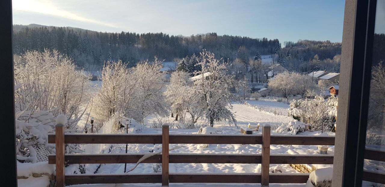 Le Jura En Toutes Saisons Piscine, Spa, Location Vtt, Balades 2Cv, Climatisation Bonlieu 外观 照片