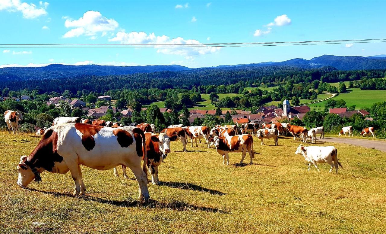 Le Jura En Toutes Saisons Piscine, Spa, Location Vtt, Balades 2Cv, Climatisation Bonlieu 外观 照片